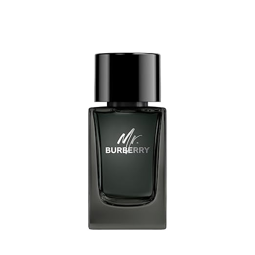 Burberry Mr Burberry Eau de Toilette (100 ml)