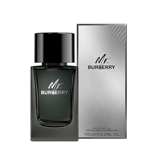 Burberry Mr Burberry Eau de Toilette (100 ml)