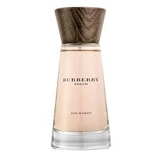 Burberry Touch for Women Eau de Parfum (100 ml)