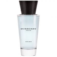 Burberry Touch for Men Eau de Parfum (100 ml)